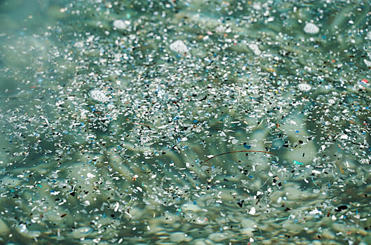 Вездесущий микропластик. Как сократить попадание пластмассовых микрочастиц в окружающую среду: Статьи экологии ➕1, 06.07.2023