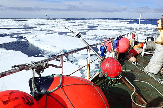 Огромного клыкача выловил сотрудник ростовского НИИ в Антарктике