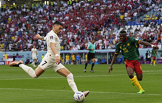 Сборные Сербии и Камеруна сыграли вничью в матче чемпионата мира по футболу