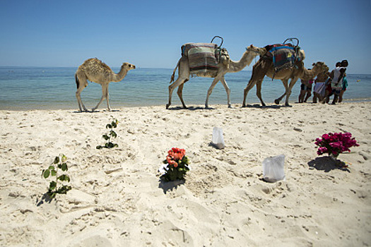 «Аль-Джазира» рассказала о положении туристической отрасли Туниса после теракта