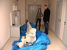 Музей Мирового океана пополнился новым экспонатом из Чукотки