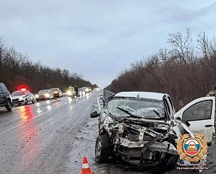 В Ростовской области в лобовом ДТП погиб водитель