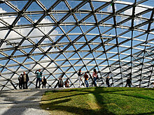 Белки могут поселиться в "Зарядье" в следующем году