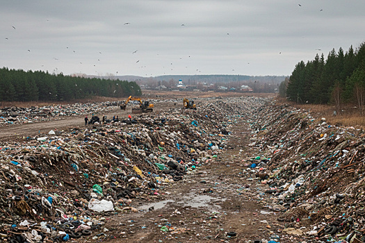 В Мордовии к концу 2025 года ликвидируют все несанкционированные свалки