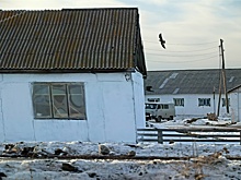 Бизнесу посоветовали поспешить с оспариванием кадастровой оценки имущества