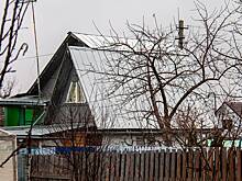 Россиян предупредили о штрафах за некоторые растения на даче
