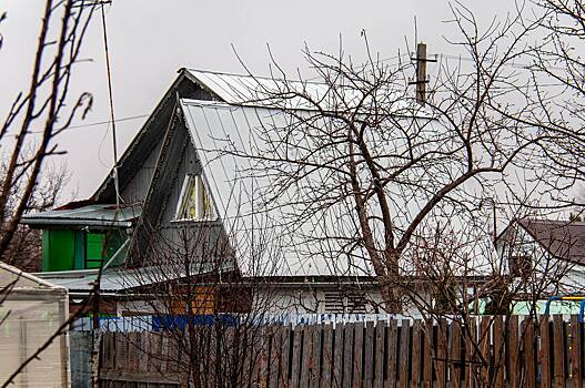Россиян предупредили о штрафах за некоторые растения на даче