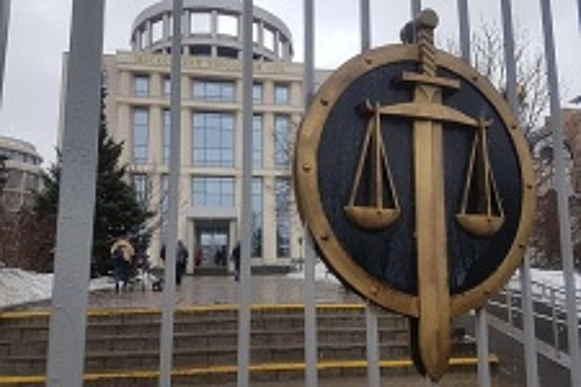 Адвокат Мамаева: статистика про 99% отказов на апелляции подтвердила себя