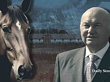 Сын Юрия Лужкова возглавил отцовскую конную ферму