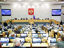 Госдума одобрила ответственность за дискредитацию добровольцев Росгвардии