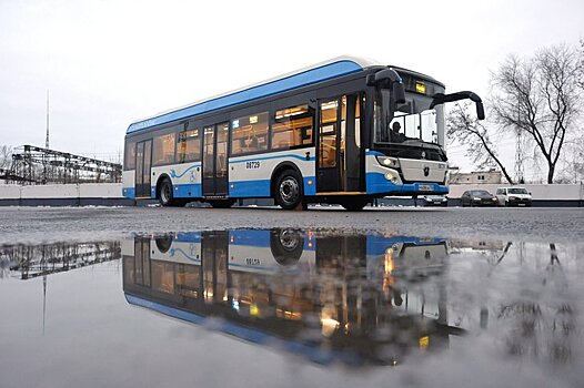 Электробусы будут ходить по троллейбусным маршрутам