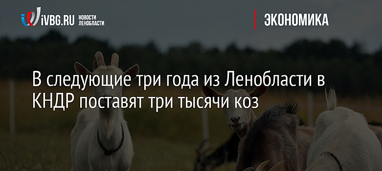 В следующие три года из Ленобласти в КНДР поставят три тысячи коз
