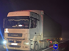 В Сызранском районе на туманной трассе мужчину насмерть сбил КамАЗ