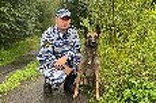 Кинолог исправительной колонии № 20 УФСИН России по Вологодской области нашел потерявшегося в лесу человека