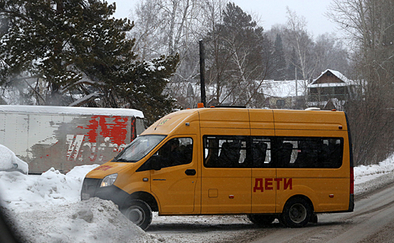 Морозы не позволили довезти до школ 4,5 тысячи детей в Новосибирской области