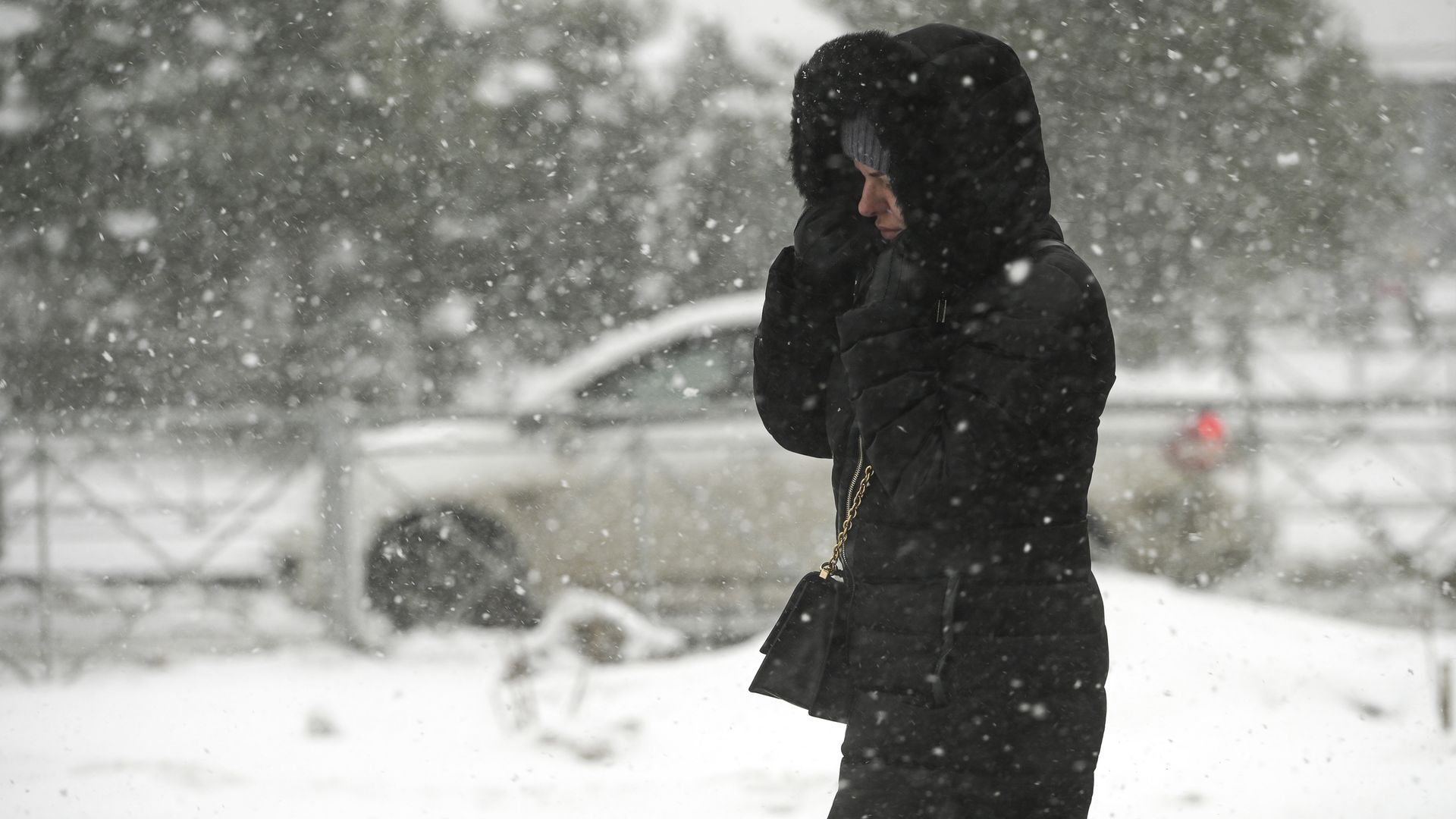 Упавший пласт снега едва не убил 20-летнюю петербурженку в Столярном переулке