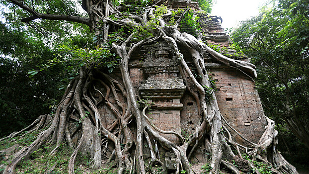 Затерянный в джунглях: ЮНЕСКО признала всемирным наследием археологический комплекс в Камбодже