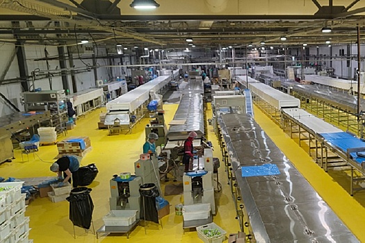 Как рязанский Касимов стал "шоколадным кластером"