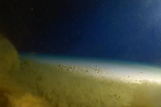 Ученые расшифровали таинственные стоны из Марианской впадины