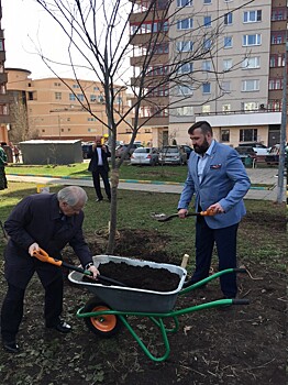 В районе Тропарево-Никулино прошла акция "Миллион деревьев"