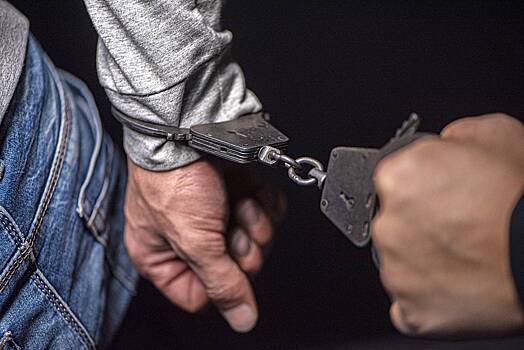 Суд отправил в СИЗО работавшую на иностранные спецслужбы адвоката