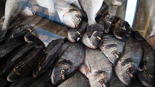 Посол в Дании заявил о дискриминации российских рыболовов на Фарерских островах