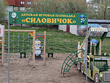 Россияне раскритиковали детскую площадку с названием «Силовичок»