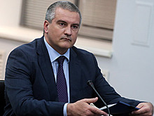 Аксенов: когда Запад захочет отменить санкции, Россия не будет нуждаться в его товарах
