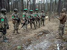 Пытались спасти иностранных «специалистов»: зачем Буданов* отправил спецназ на убой в Покровск