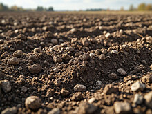 В Благовещенске создали новый метод анализа почвы
