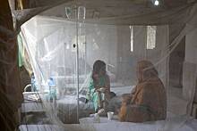 В Индии сообщили о резкой вспышке лихорадки денге