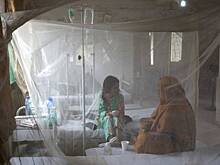 В Индии сообщили о резкой вспышке лихорадки денге