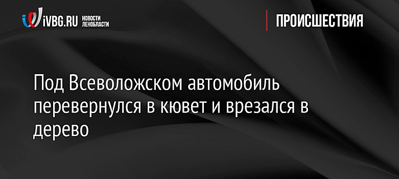 Под Всеволожском автомобиль перевернулся в кювет и врезался в дерево