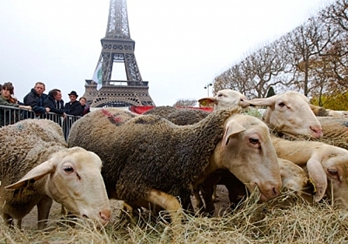 СМИ: Французские фермеры намерены организовать полную блокаду Парижа