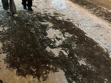 Местные об улице Дачный проезд: «один лед — ездить и ходить невозможно»