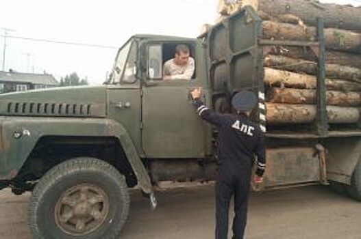 В Лесосибирске Красноярского края проверяют законность перевозки древесины