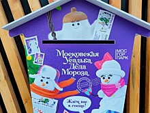 Глава управы Зюзина предложила жителям отправить письма Деду Морозу