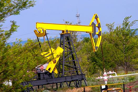 Стоимость природных богатств России оценили