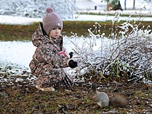Эксперты "РГ" рассказали, как аномально теплая зима повлияет на урожай