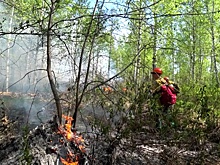 Поединок со стихией: как изменилась обстановка с лесными пожарами в Рязанской области