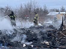 13 человек погибли при пожарах в частных секторах Рязанской области с начала 2024 года