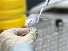 Россия захотела получить «суперштаммы» микроорганизмов