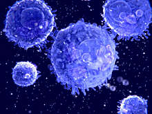 Биологи создали белок для предотвращения аутоиммунных заболеваний