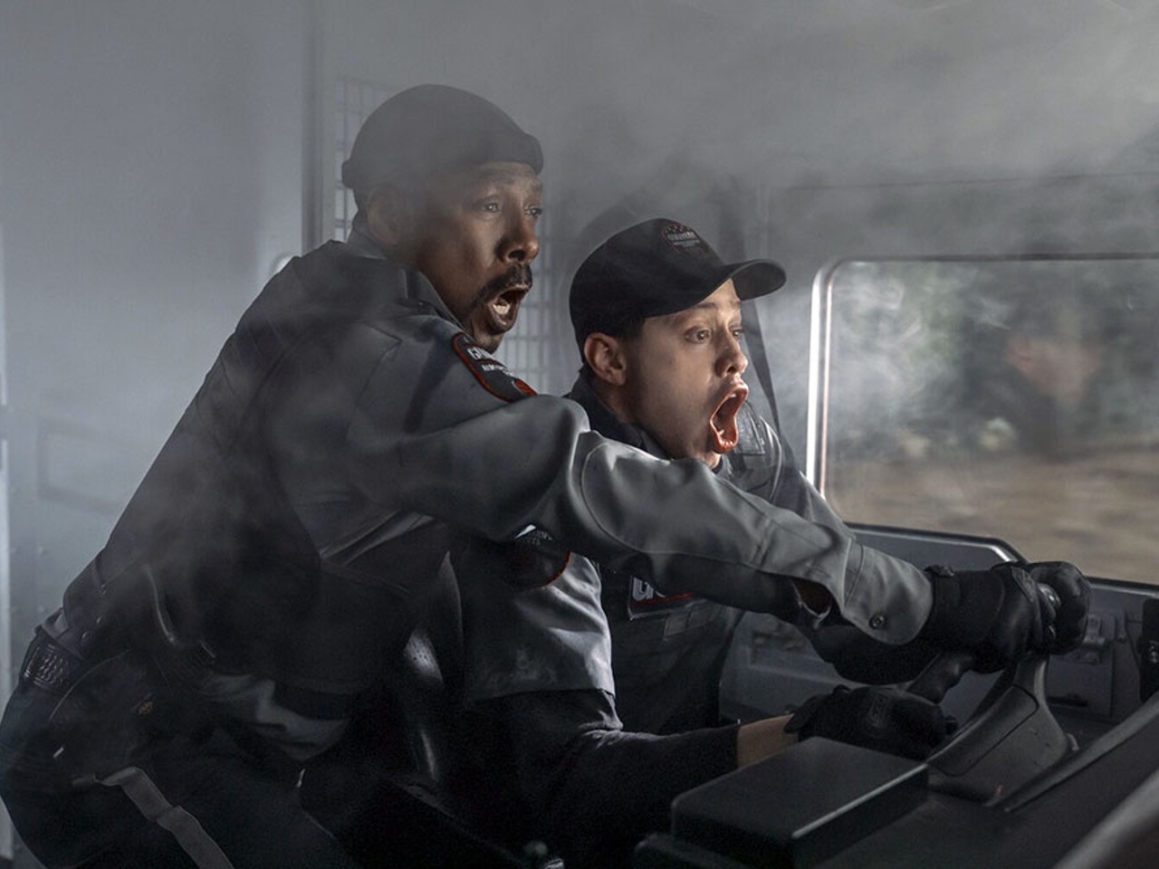 Өздігінен сору әдістері: фотосуреттер