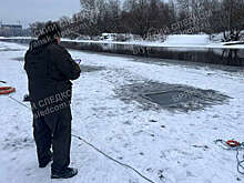 ЛизаАлерт: снегопад и течение усложняют поиск провалившихся под лед детей в Брянске