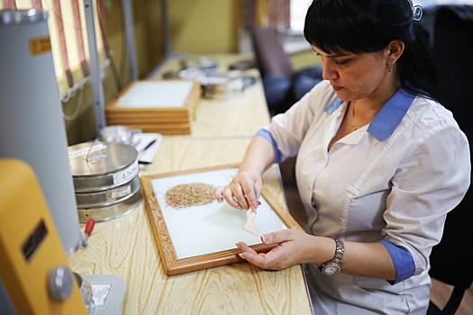 Аграрии переходят на "китайский мониторинг" зерна