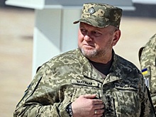 ZN: Назначение Залужного послом прошло с нарушением всех норм дипломатии