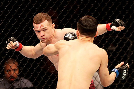 Петр Ян — Алджамейн Стерлинг, прогноз и ставка на бой UFC 259 7 марта 2021, кто победит