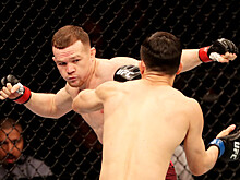 Петр Ян — Алджамейн Стерлинг, прогноз и ставка на бой UFC 259 7 марта 2021, кто победит