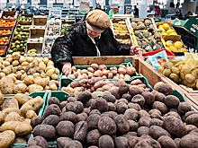С начала года цены на картофель в России выросли в полтора раза